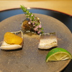 小春日和 - 28年9月　カマス、鯵