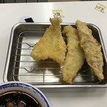 白身、キス、鯖