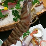 幸洋荘 - 車海老