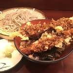 蕎麦肴酒さらざん - 小盛りえび天丼とざる