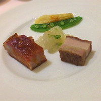潮夢来 - 