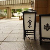 一心 金子 - 