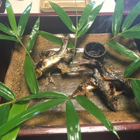 比良山荘 - 
