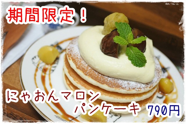 猫カフェ 猫音 にゃおん 猫カフェ 猫音 にゃおん 恵美須町 その他 食べログ 猫カフェ 猫音 にゃおん 猫カフェ 猫音 にゃおん 恵美須町 その他 食べログ