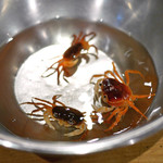 卯佐 - 調理前の酒漬けの沢ガニ