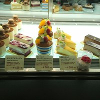 ダルマット 六本木ヒルズ店 - 
