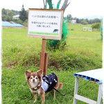 長門牧場 - 牧場内ワンコはリード着用で！
