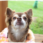 長門牧場 - 美味しい♪