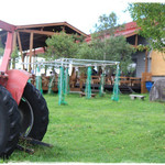 長門牧場 - ウッドデッキのテラス席は屋根付きです