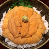 函館うに むらかみ 日本生命札幌ビル店 - 