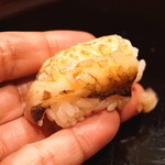 割烹 山路 - 新烏賊の握り寿司