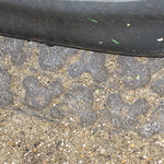 ミッキーのトレーラー - 