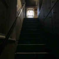 いわ志 本店 - 