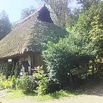 カフェ・ドリ - お店