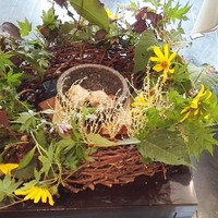 NARISAWA - 石釜に入ったパン種