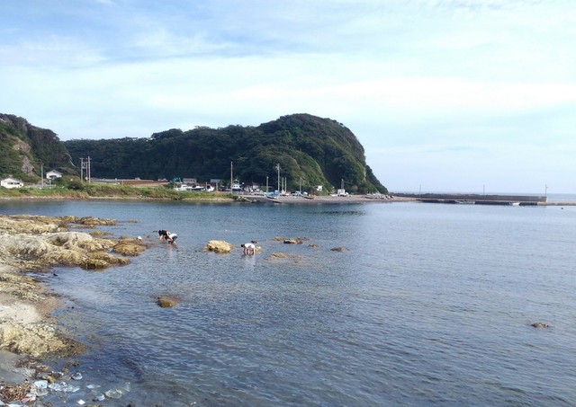 三浦半島最後の秘境 毘沙門に茶屋レストランあり ワイワイしたい 静かな時間に浸りたい 一人で冬の海が見たい いつまでも待ってます By Buraneko 毘沙門茶屋 びしゃもんちゃや 三浦半島その他 定食 食堂 食べログ