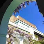 La Mosquée de Paris - モスケ内