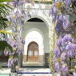 La Mosquée de Paris - モスケ内　息遣いが荒くなる美しさ