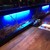 海老の世界 - 料理写真:カウンターには海老の水槽を設置