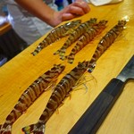 鮨 土方 - 【2016.8】