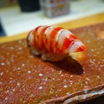 鮨 土方 - 【2016.8】車海老握り