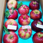 山上観光りんご園 - 今回久しぶりに送ってもらいました６キロ２４個入り￥３６００円送料は￥６５０円