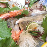 くつろぎ亭ひこべえ  - 新鮮な味の姿造り