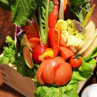 埼玉の農園で土から始まる野菜作り◆野菜の物語とその価値観