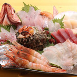 Shunno Sakana To Umai Sake Korin - 