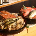 Shunno Sakana To Umai Sake Korin - 