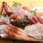 Shunno Sakana To Umai Sake Korin - 