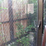 Jasumin - 窓から見える小庭