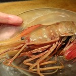 大どころ - ◆北海道産「ぼたん海老」沖漬。
      これだけ立派な「ボタン海老」、、「海老」好きとしては嬉しいですね。