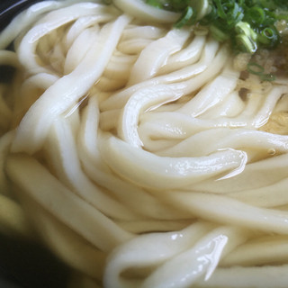 上乃うどん_1