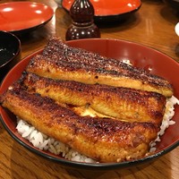 吉寅 - 