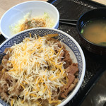 吉野家 - ｈ28 チーズ牛丼480円+サラダ、みそ汁130円