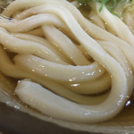 手打ちセルフうどん 海侍 - ちょい硬めのフヌッとした太い麺