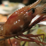 汀渚 ばさら邸 - エビちゃん