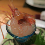 汀渚 ばさら邸 - 赤海老