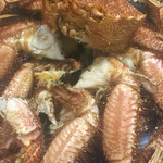 わだつみ - 2016/02