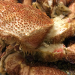 わだつみ - 2016/02