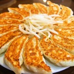 Ishimatsu Gyoza Hon Ten - 餃子15個