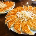 Ishimatsu Gyoza Hon Ten - 餃子30個を注文したら、15個が2つやってきた