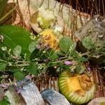 奈良 而今 - カボスには厚焼き玉子と胡桃の飴炊き、銀杏餅の天麩羅