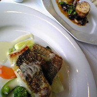 パルファン - 2008/06/15