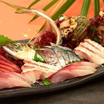 お食事処 海堂 - 料理写真:刺身盛合