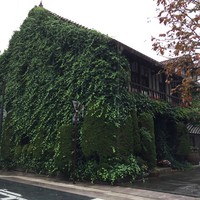 レストラン鯛萬 - 