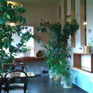 シューフルール_2