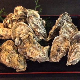 [Freshly harvested live Oyster]