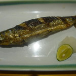 鮮魚・お食事処 山正 - 